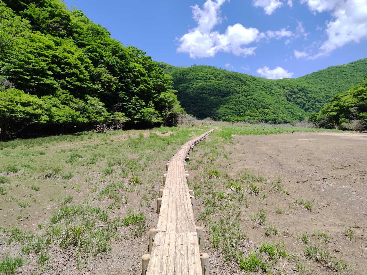 木道😀