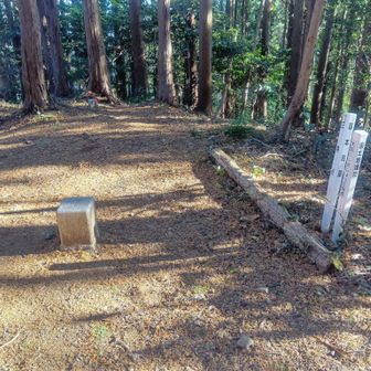 物見山の三角点。