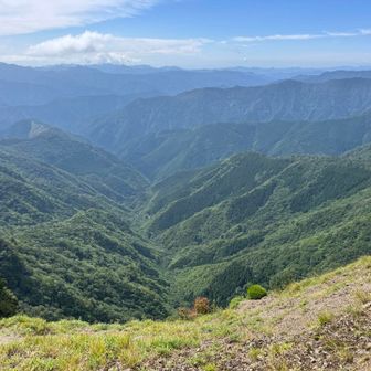 ワタクシ、大普賢の周回は3回歩いたことがありますが、1回目はまだ登山を始めて3~4年の初心者の頃に和佐又から反時計周りで、2回目と3回目は水太登山口から時計周りで歩いています。
水太登山口はこの深い水太谷の底にあり、和佐又からの反時計周りの場合は、この水太谷からの後半の登り返しがとてもしんどいので、2、3回目は水太谷を起点に後半が下り基調になるように時計周りで歩きました🚶

山友さんも周回ルートをいつか歩いてみたいとのことであった為、少しだけ雰囲気を味わう為に奥駈道を七曜岳方面へ歩いてみました⛰️