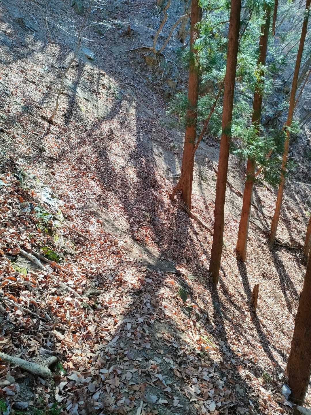 かなり道が狭いので要注意です