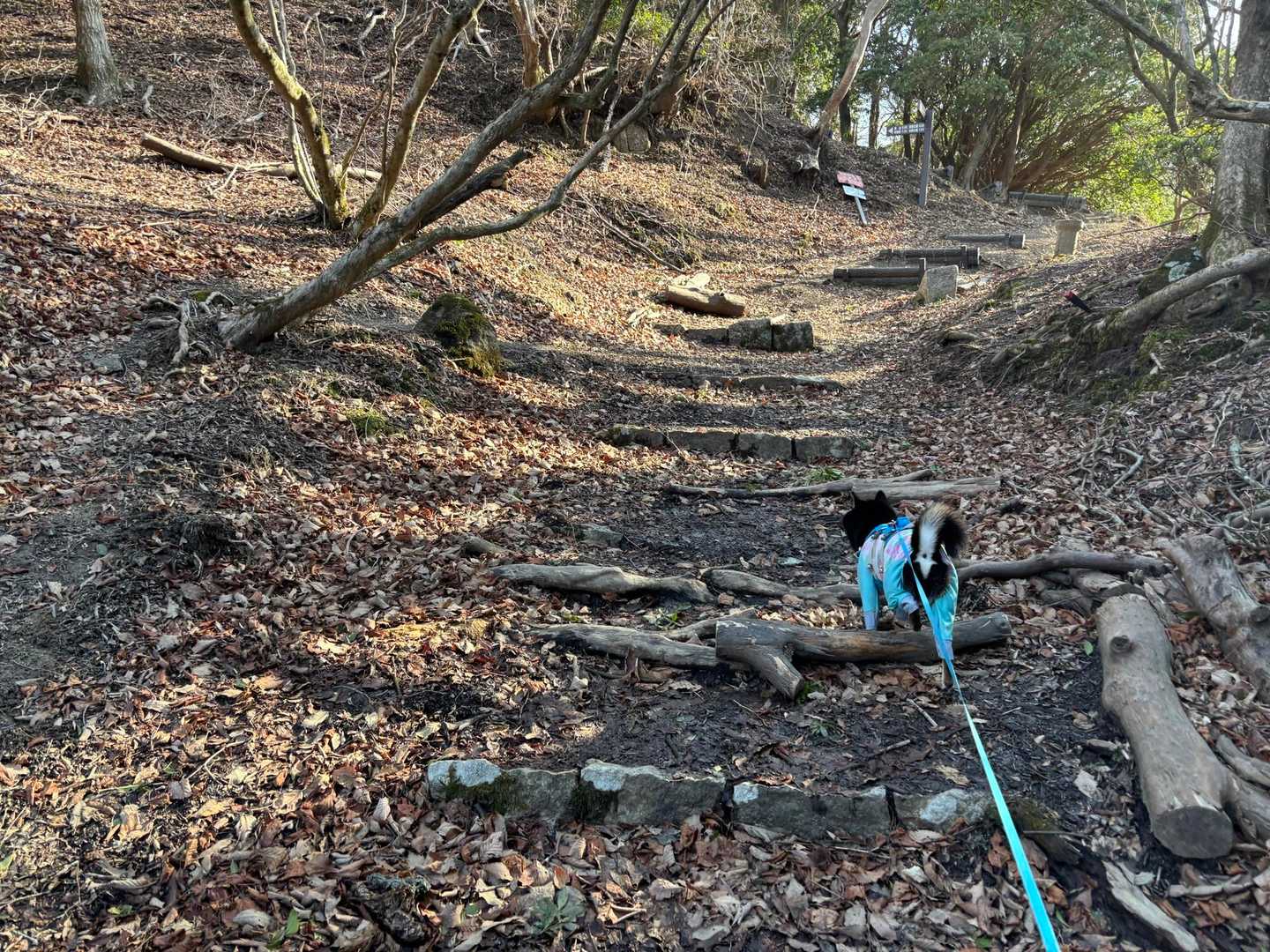 ここらへんだけ足元グチャグチャ😅