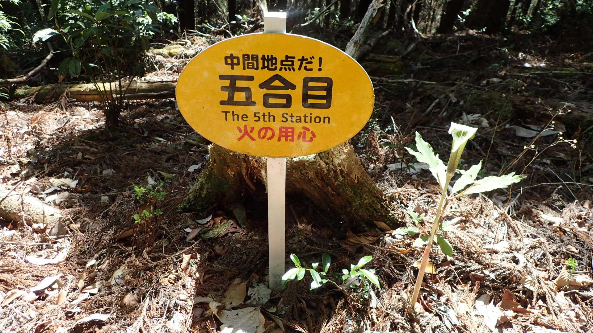 1合目　登山口-石堂山 往復コースの写真