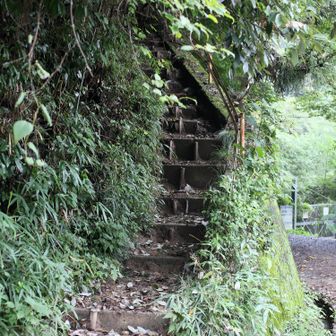 景信山登山口