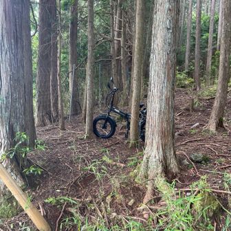 相棒が停めていたモペットに跨り、スタート地点の車を回収に向かいます