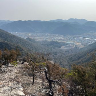 高所恐怖症この先にはいけなかった😅