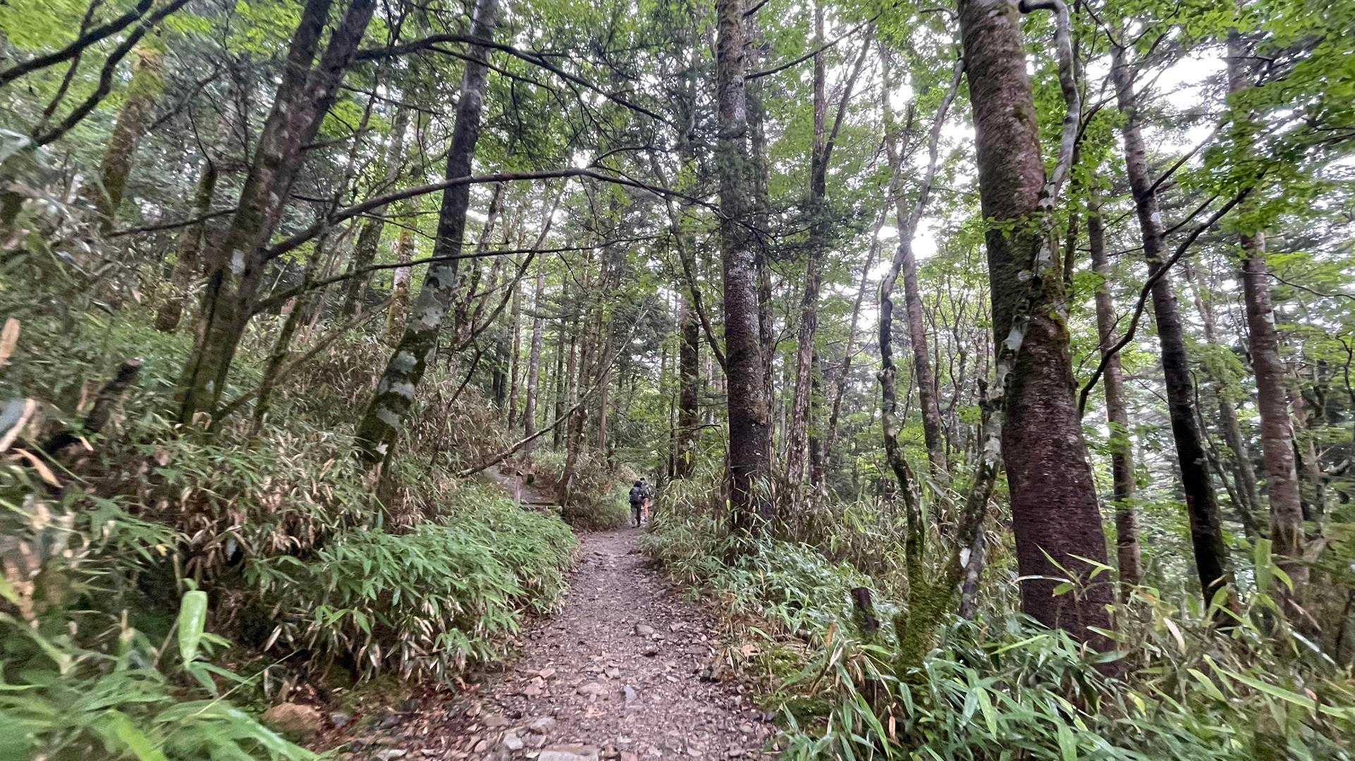 平坦