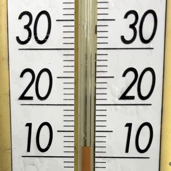 昨日より6度低く風が冷たい。