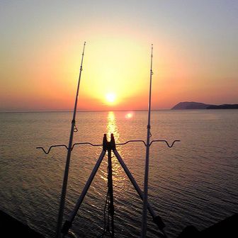 まさたか
