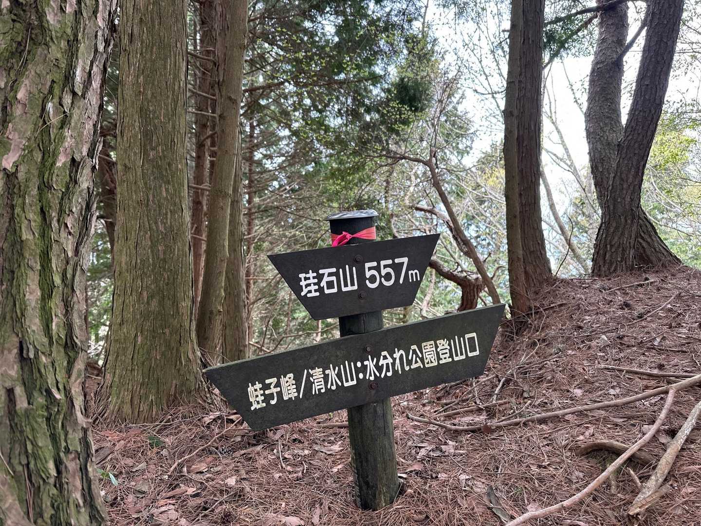 ８座目　珪石山
