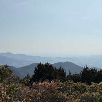 大山〜弘法山、秦野方面

春ですね、霞んでます

仙人の次は、ダルマ沢ノ頭へ向かいます
