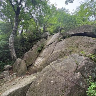 登りは楽ちん