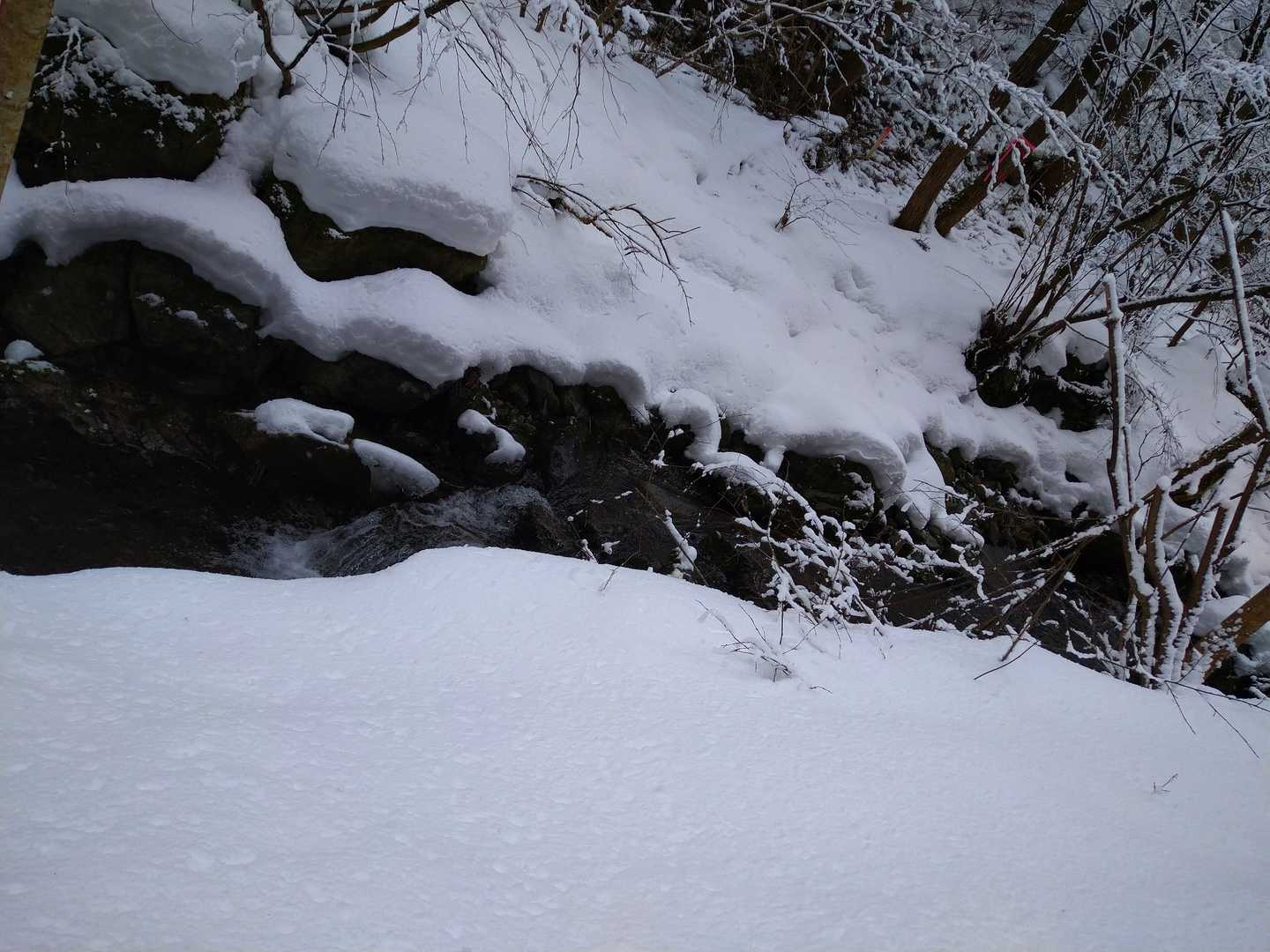 虫壁林道からのスタートです
渓流沿いを進みます