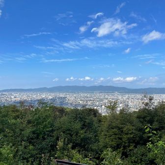 東山⛰️将軍塚