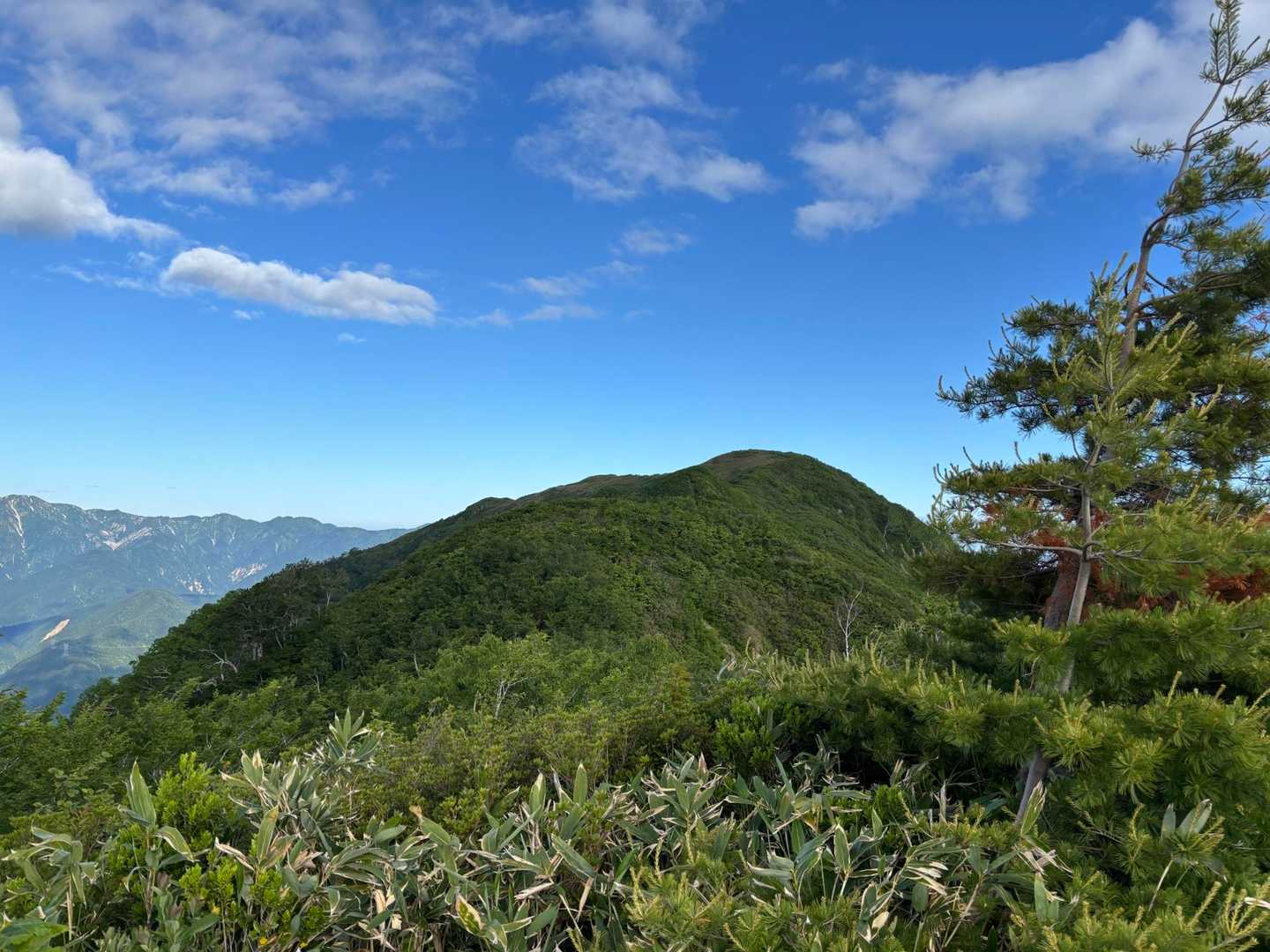 中根平登山口-第一休憩地-宮屋敷跡-人形山-三ヶ辻山 往復コースの写真