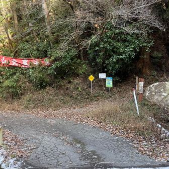 林道出合いから２０分で登山口に到着。駐車場まではあと少し🚶🏻