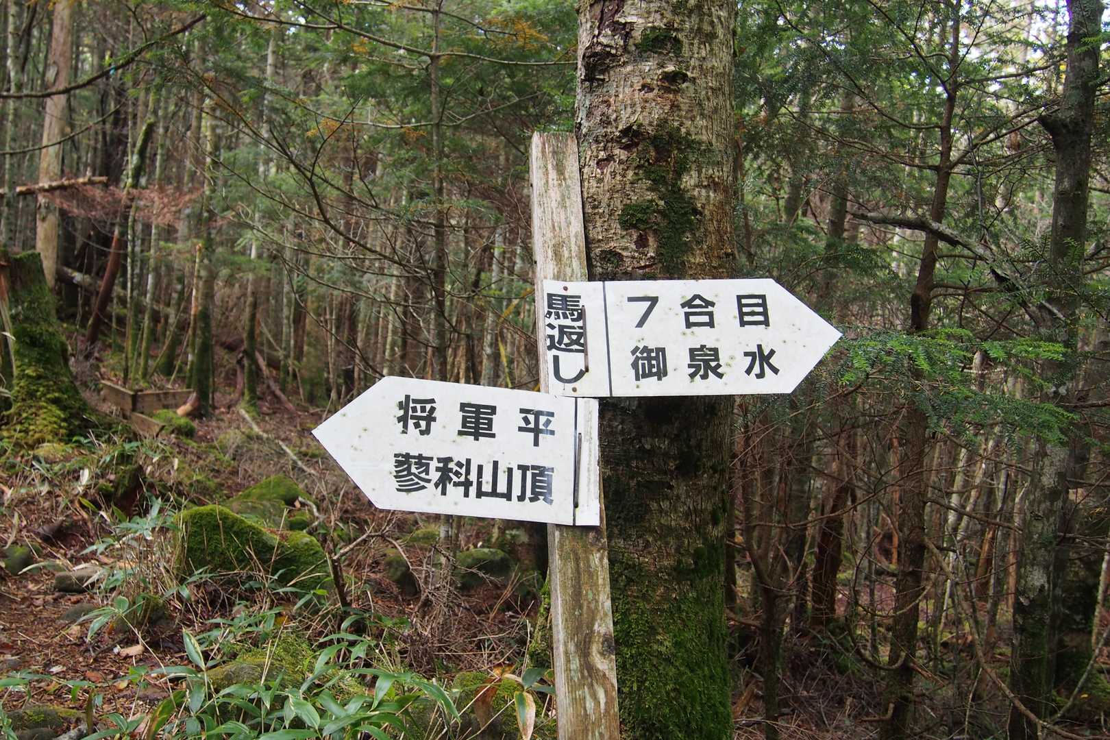馬返しまで来ました