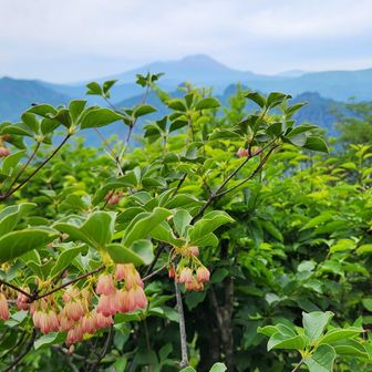 奥に浅間山が見えます。
