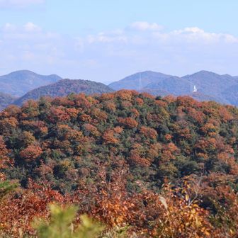 周囲の山々の山肌は
もこもこなパッチワークの出来上がり！