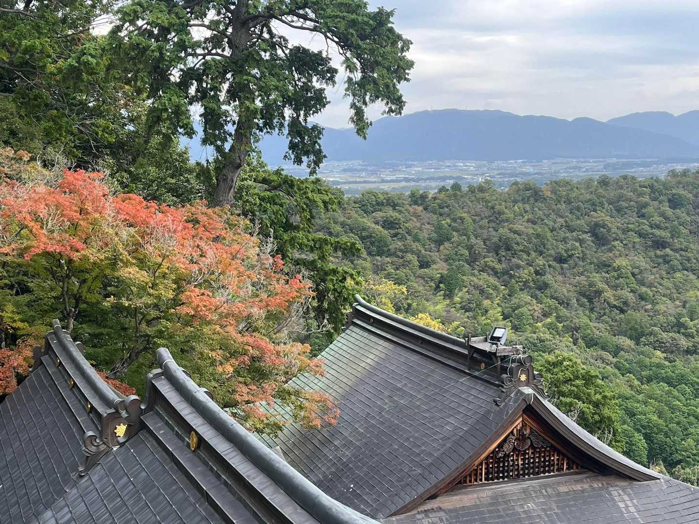 阿賀神社-太郎坊山-みつくり君休憩所-箕作山 往復コースの写真