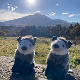 ユーザーゆうらん