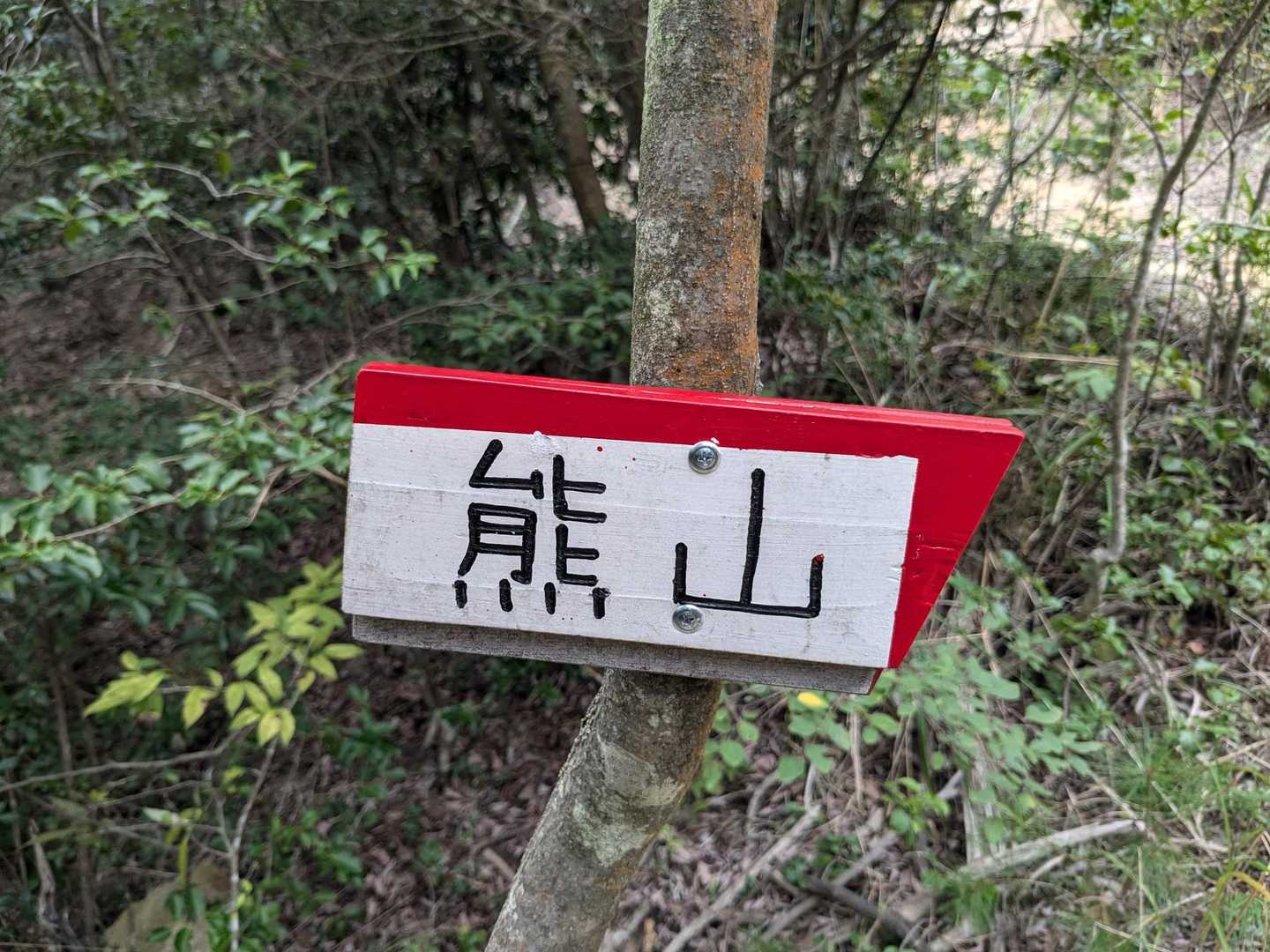 熊山遺跡 往復コースの写真