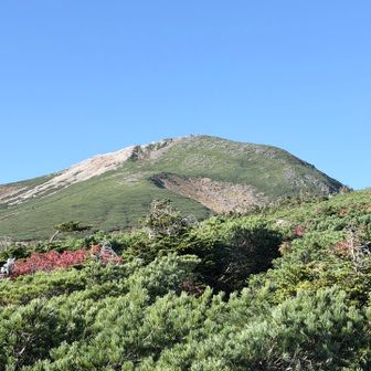 山頂方面✨
我慢して下山しまーす