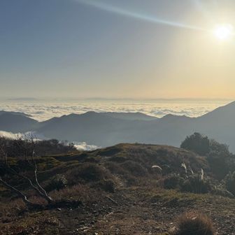 これまた見事な雲海☁️