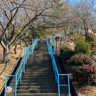 青い手すりの階段が目印
登り切ると鳥居⛩️があります