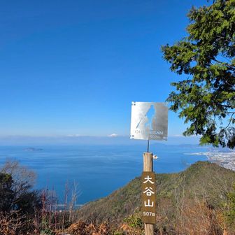 こっちは新しい「オオタニサン」