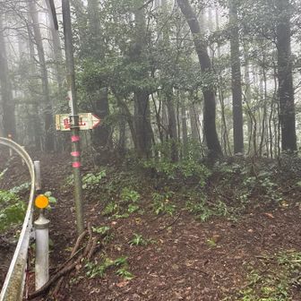 本日最後のピークを目指します。