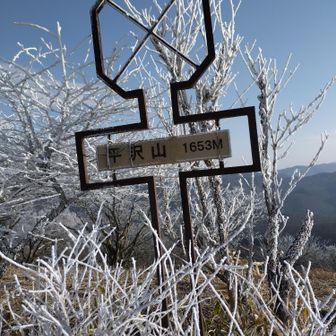 大盛山から10分ちょっとで平沢山山頂に到着。
