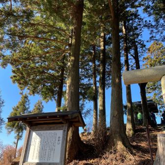 カロちゃんは見てくれたかな？