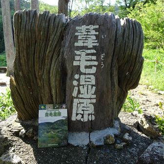 パンフレットと看板😁
ふりがなのとおり、いもうしつげんと読みます。【東海のミニ尾瀬】と呼ばれているそうです