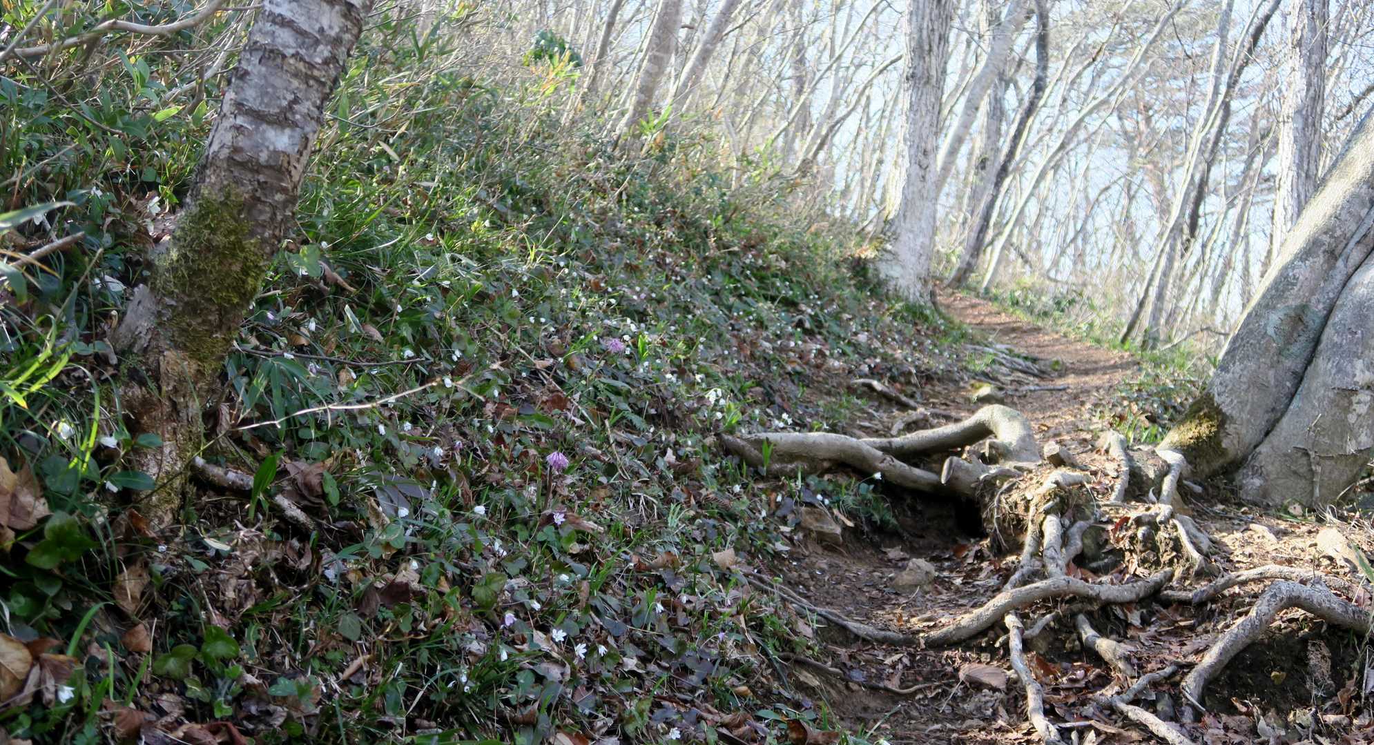 万寿山-権現山-六郎山 周回コースの写真