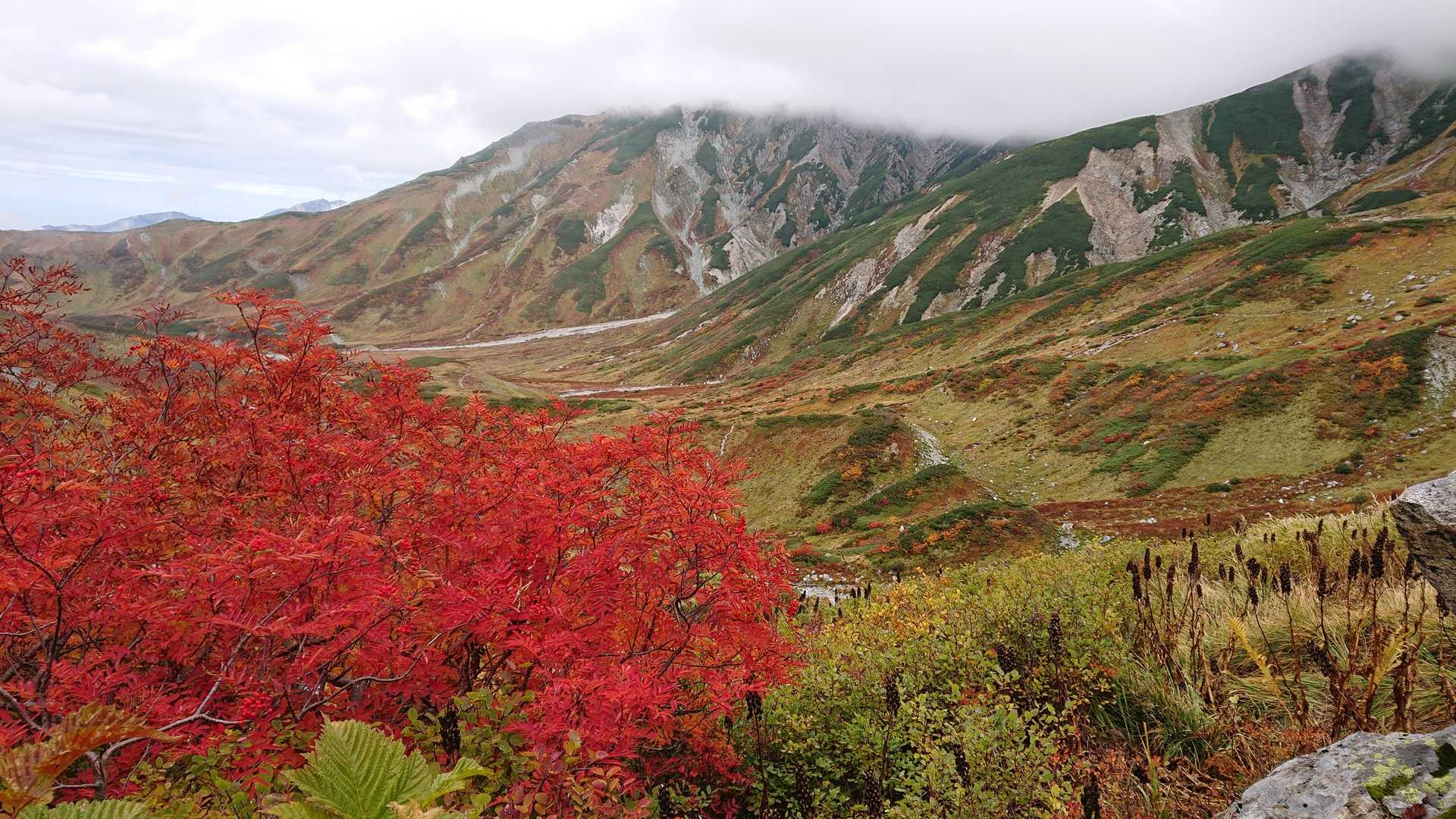 室堂登山口-浄土山-一ノ越 縦走コースの写真