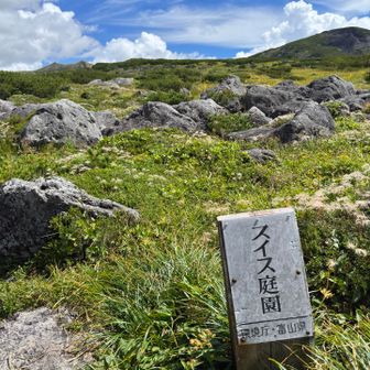 せっかくなので寄ってみました