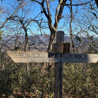 先ずは戸谷山を目指します