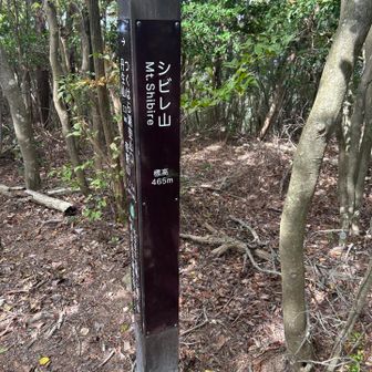 シビレ山