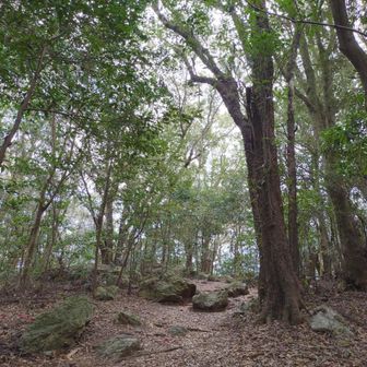 山にいけないと禁断症状🤢