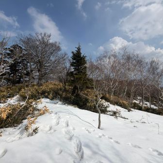 ゆっくりしようと思ったけど残り時間を考慮して休まなかった