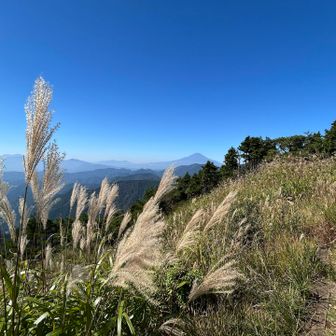 🌾　久しぶりの表尾根最高です　🎶