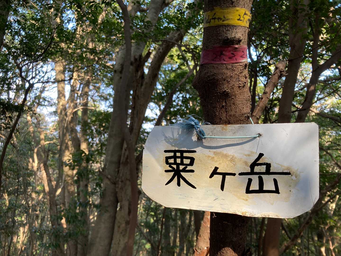 「粟」が「栗」なってた山頂プレート、相方が点々を足して上からなぞりました✍️
