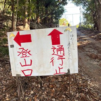 登山道はここから