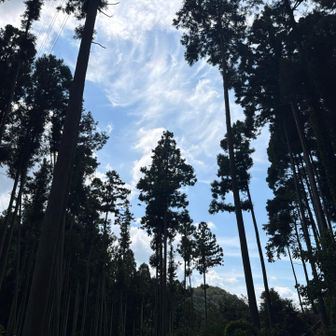 良い天気☀️