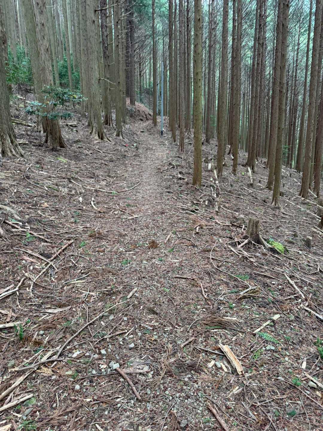 居尻バス停-大尾山 周回コースの写真