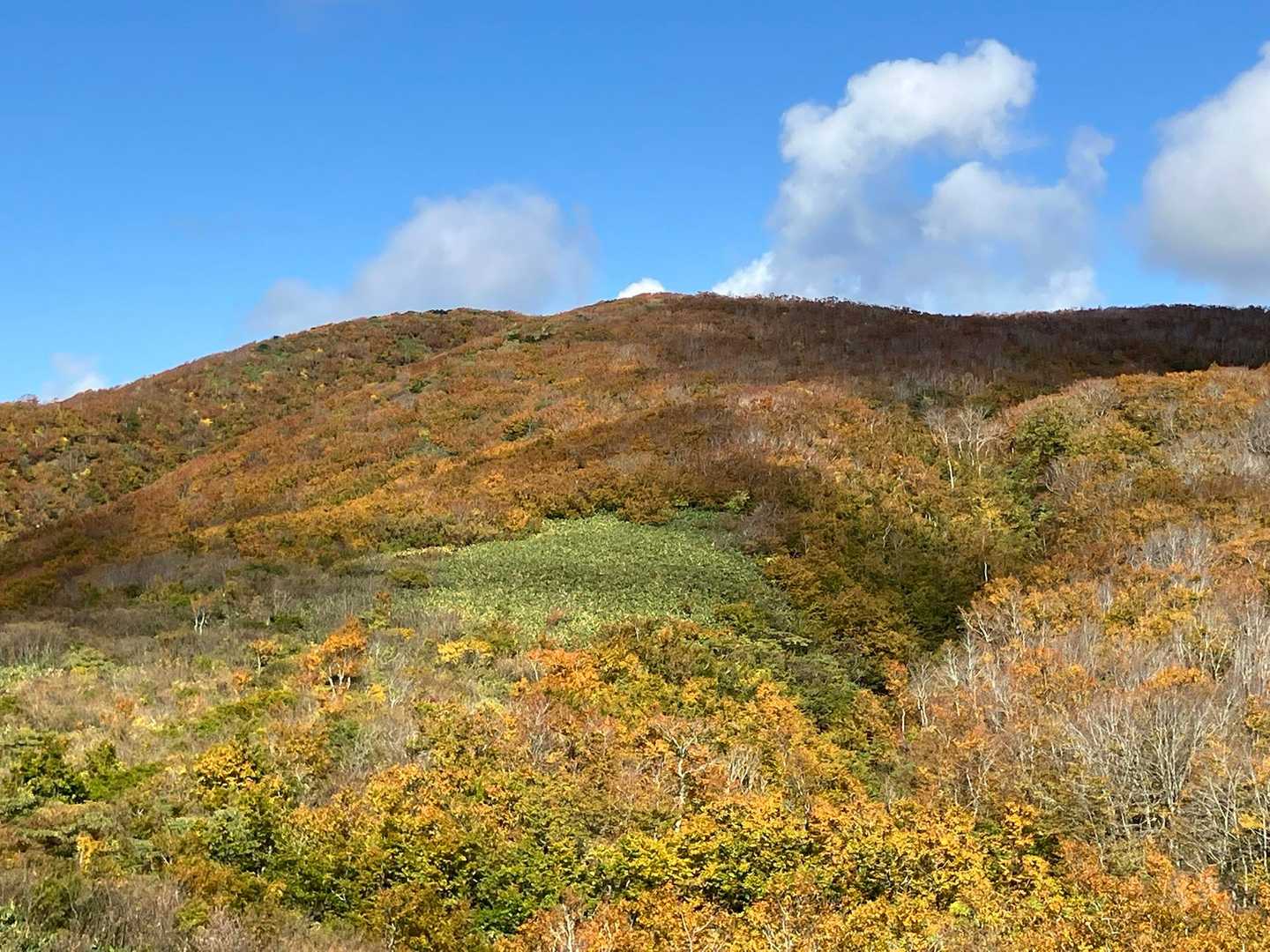 振り返って翁山🍁