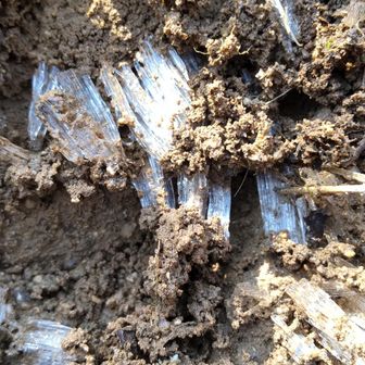 平坦だったり、緩いアップダウンを繰り返し…
三郡山の山頂間際は霜柱！
泥濘んでます。