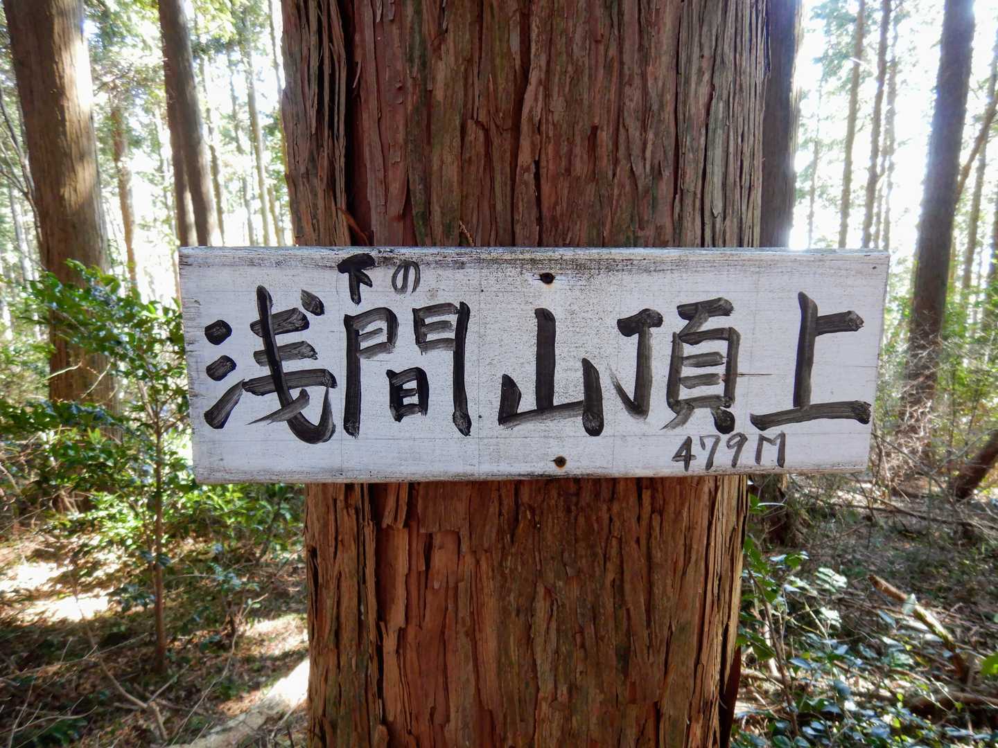 下の浅間山479m頂上に到着！これで稜線が繋がりました。展望はありません。せっかくなので、上の浅間山まで向かいます。