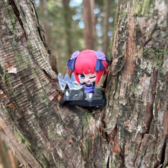 まさか推しがこんなところにおるとは思わんやんどなたですか置いてくれはったの笑