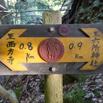 その谷筋を後野越まで来ました

👈ここを左（西方寺方面）へ曲り